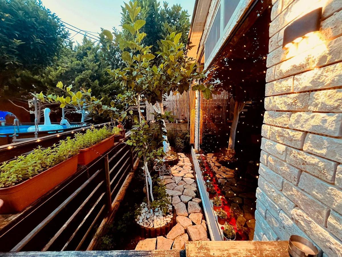 Paradise Rabab Apartment & Guesthouse حيفا المظهر الخارجي الصورة